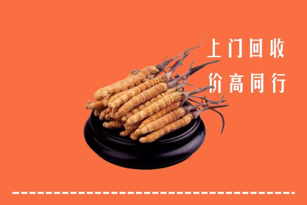 高价求购：崇左市凭祥市回收散虫草
