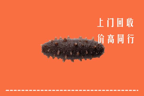 高价求购：崇左市凭祥市回收海参
